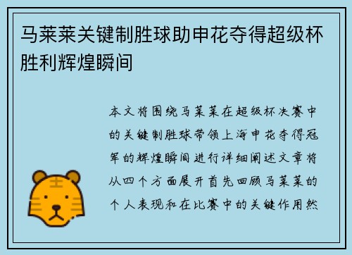 马莱莱关键制胜球助申花夺得超级杯胜利辉煌瞬间